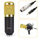 Kit Microfone Profissional BM800 Dourado com Braço Articulado e Pop Filter
